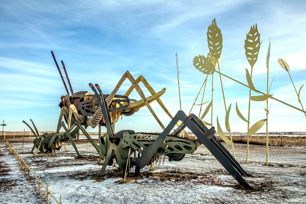                         Two of the "Grasshoppers" cluster scrap-metal sculptures, among several installations said (by the…