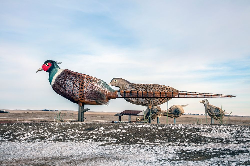                         "Pheasants on the Prairie," one of several scrap-metal sculpture installations by artist Gary Greff…