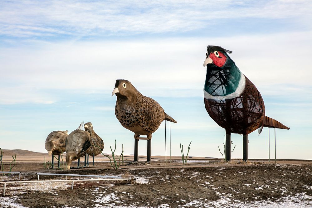                         Part of the "Pheasants on the Prairie," several scrap-metal sculpture installations by artist Gary…