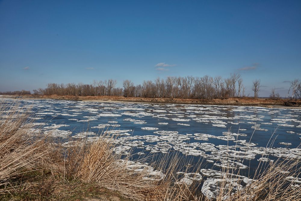                         An ice floe, or massive array of waterborne ice, hurries down the Missouri River in late December…