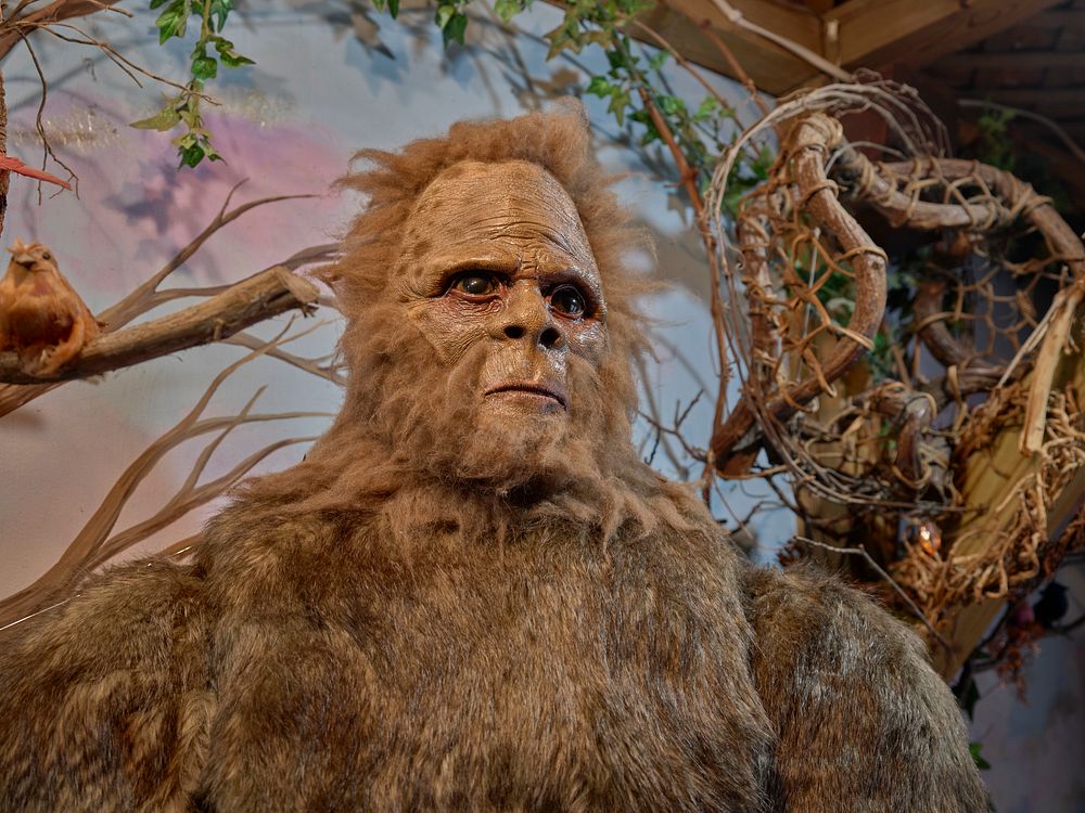                         This is Forest, a gigantic Bigfoot figure at the Bigfoot Crossroads of America Museum, created in…