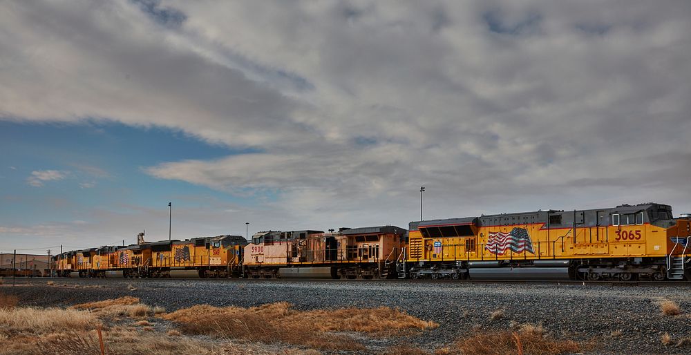                         A string of diesel freight engines at the Bailey Yards, as of 2022 the world's largest train…