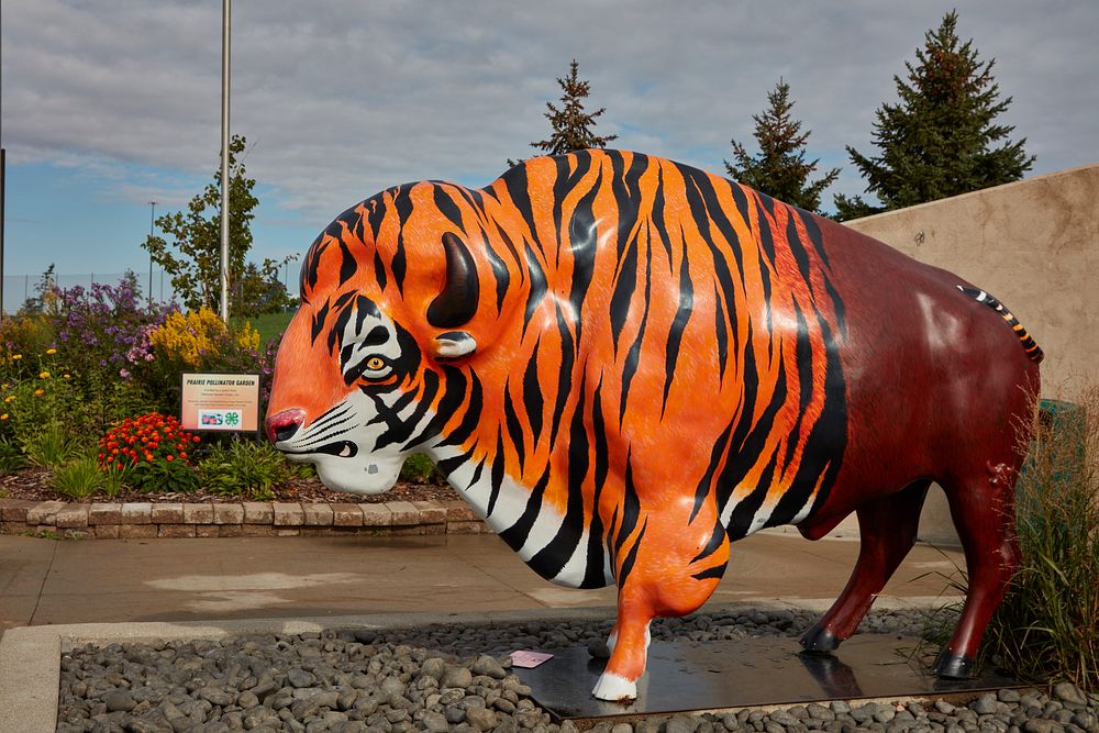                         A fanciful half-tiger, half buffalo sculpture at the Red River Zoo, a nonprofit zoological park that…