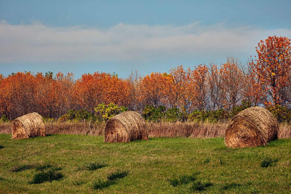                        Rural scene near Bloom Township in Stutsman County, North Dakota                        