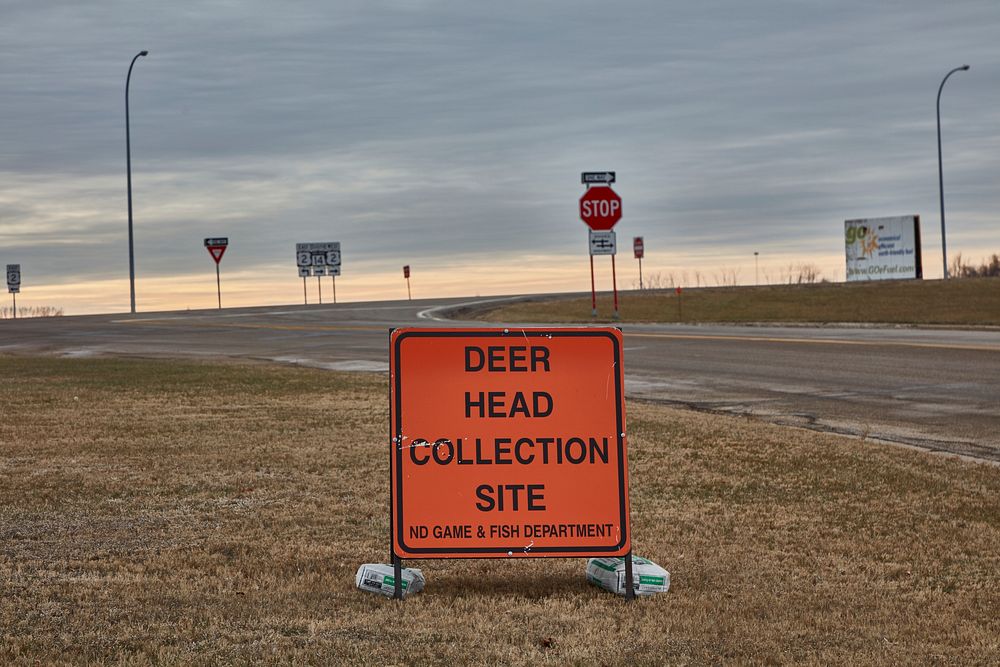                        A sign of a sort that's not uncommon on America's Northern Plains, where both deer and hunters are…