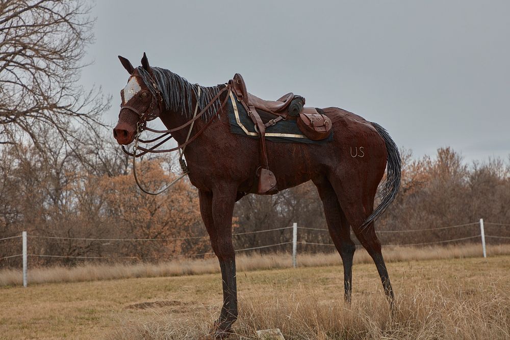                         A lifelike metal-art sculpture of a military horse at the Fort Buford State Historic Site in…