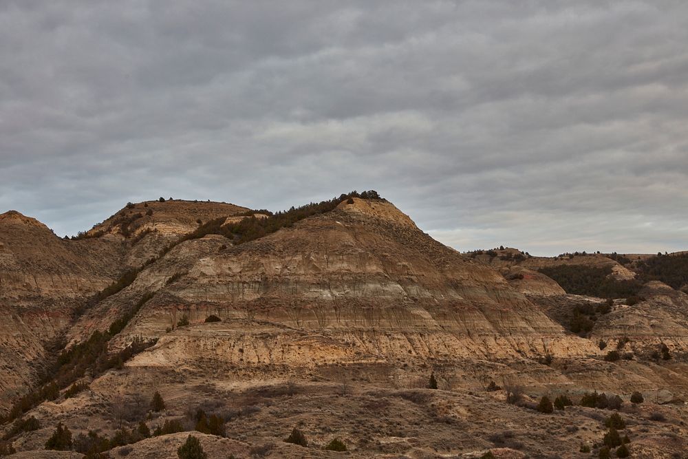                         A hilly portion of the Painted Desert area of the Theodore Roosevelt National Park near Medora in…