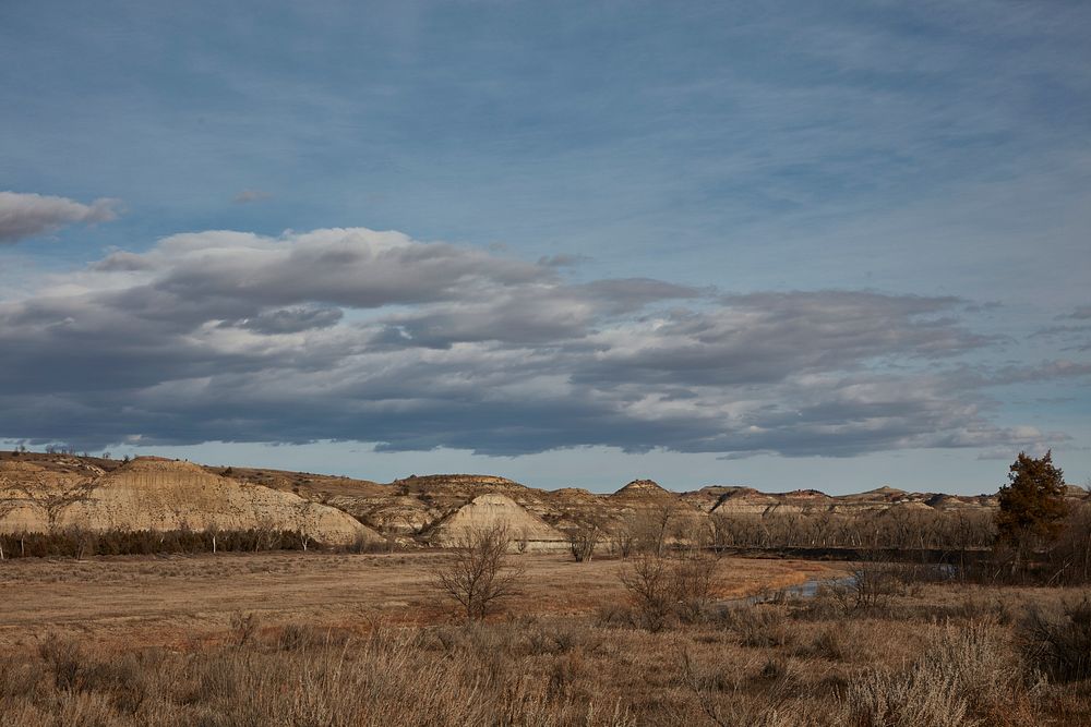                         Scene at Theodore Roosevelt National Park near Medora in southwest North Dakota                     …
