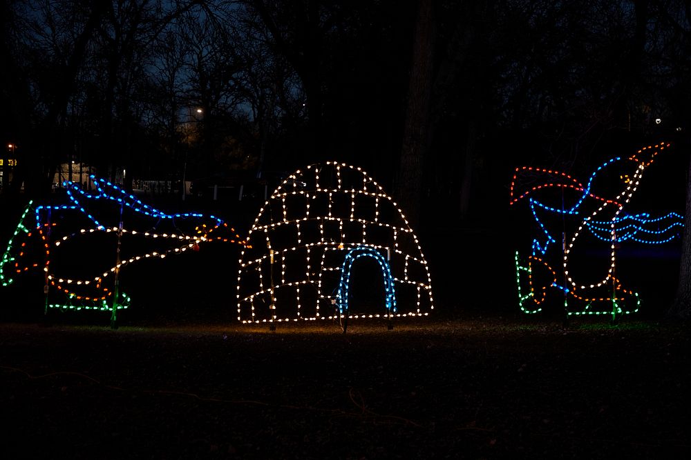                         An example at the Christmas in the Park annual light display, sponsored by the local Sertoma Club…