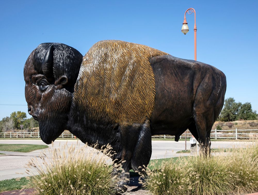                         A buffalo (or American bison) sculpture below the massive Great Platte River Road Archway Monument…