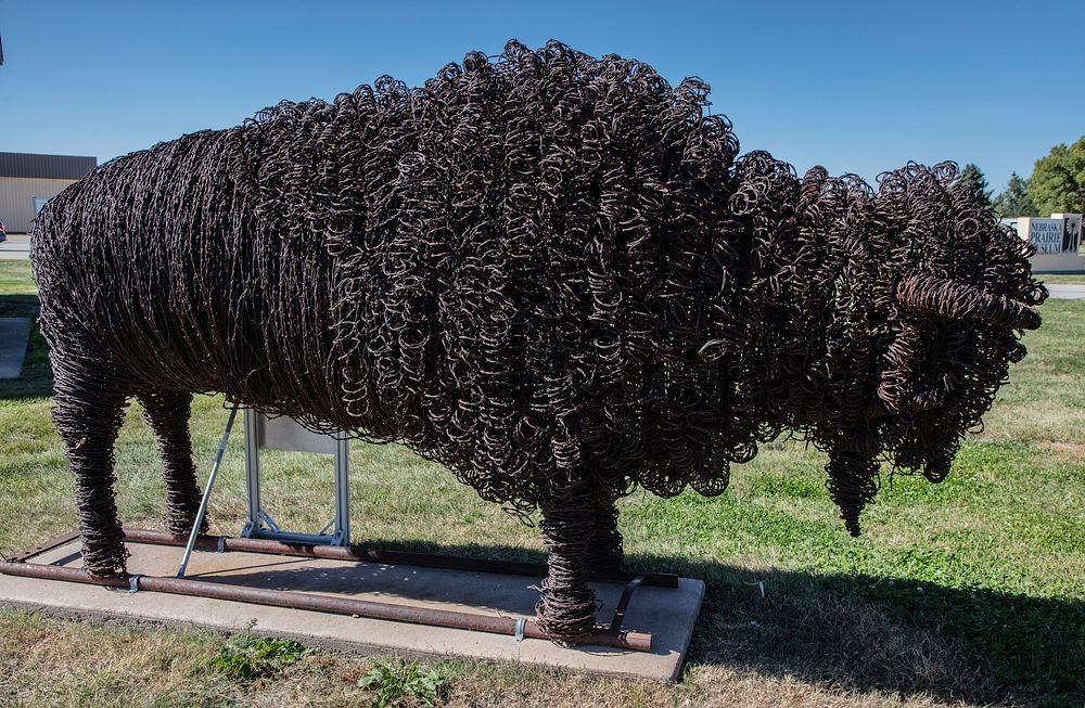                         A remarkable buffalo, or American bison, sculpture made of more than two miles' worth of barbed…
