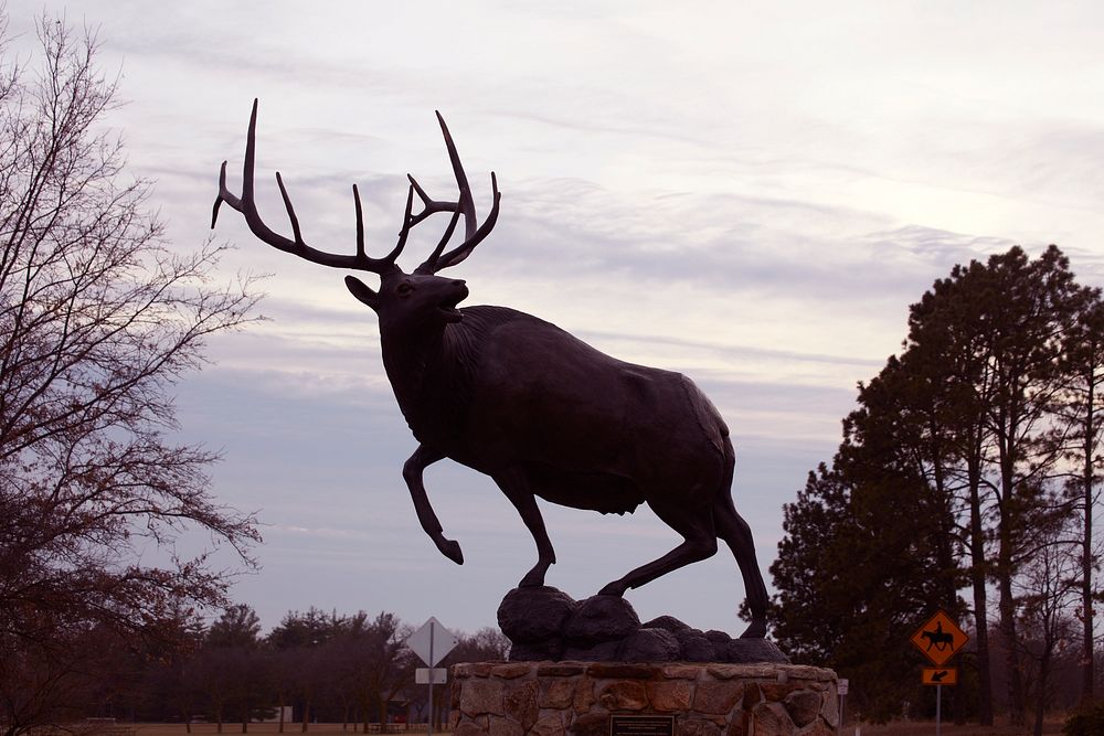                         Artist Richard Haines's 2001 "Mountain Monarch" sculpture of a mighty elk greets those entering the…
