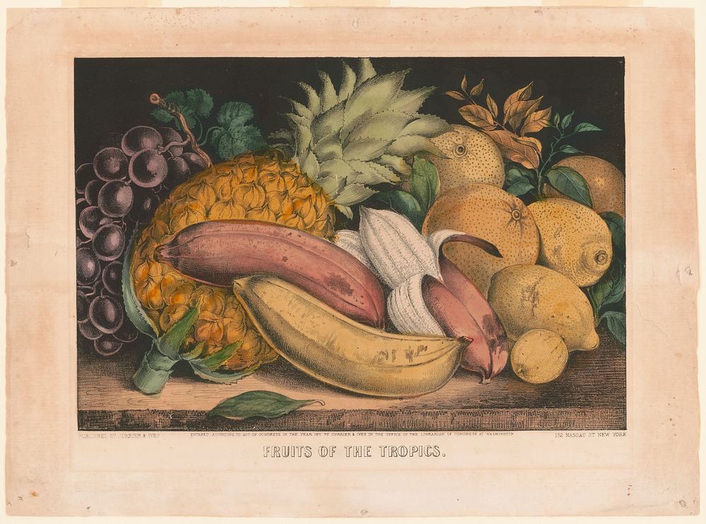 Fruits of the tropics, Currier & Ives.