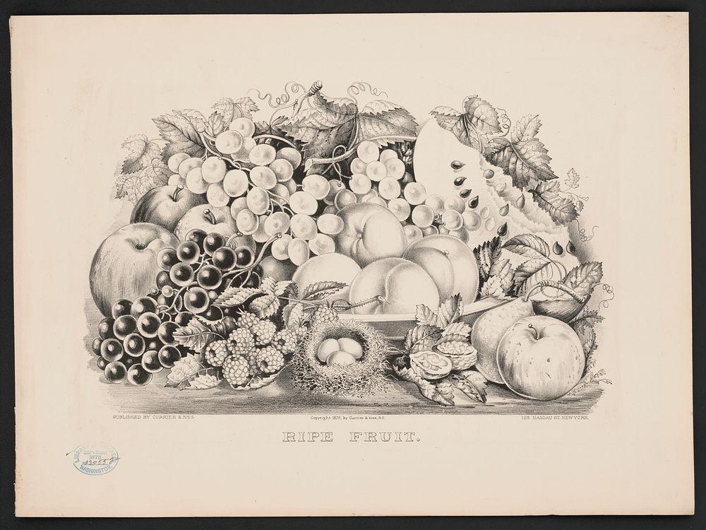 Ripe fruit, Currier & Ives.