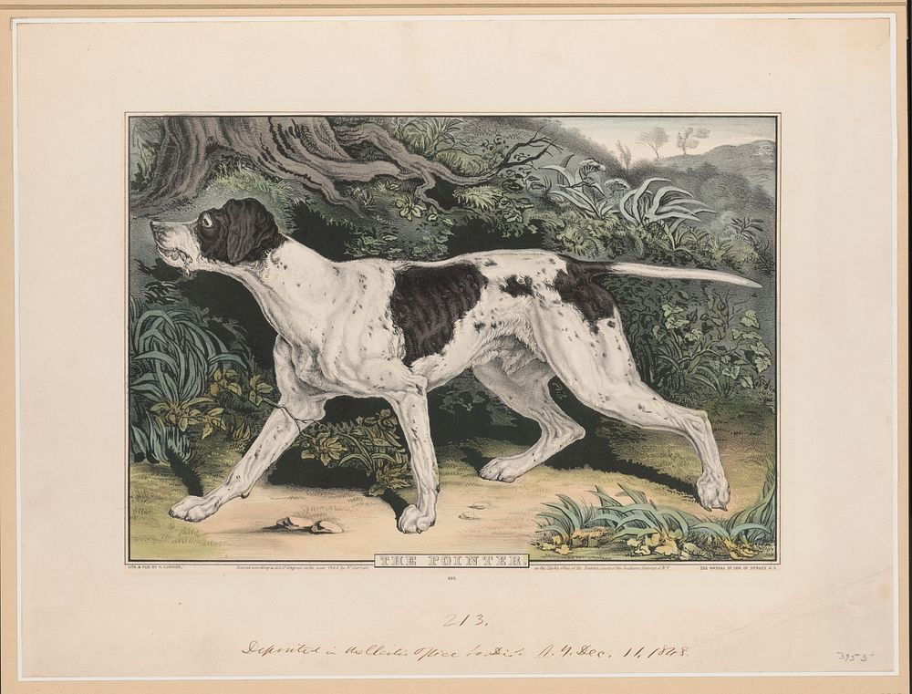 The pointer, N. Currier (Firm)