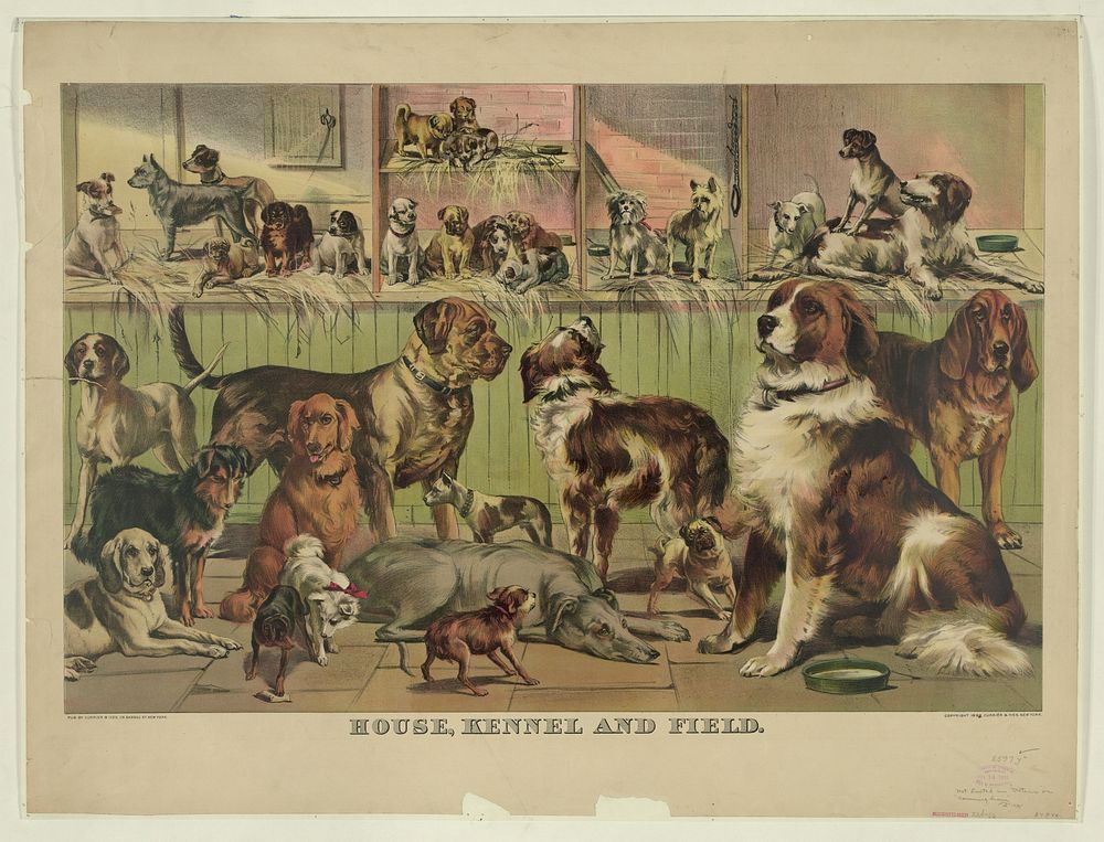 House, kennel and field, Currier & Ives.