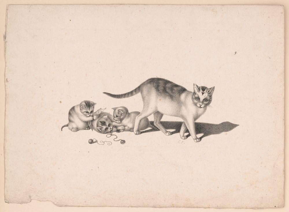 [Cat and three kittens playing with string and paper], Fenderich, Charles, artist (Childs & Inman, printer)
