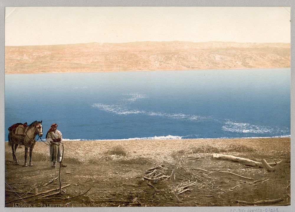 [Man with horse standing near the Dead Sea], [between ca. 1890 and ca. 1900]