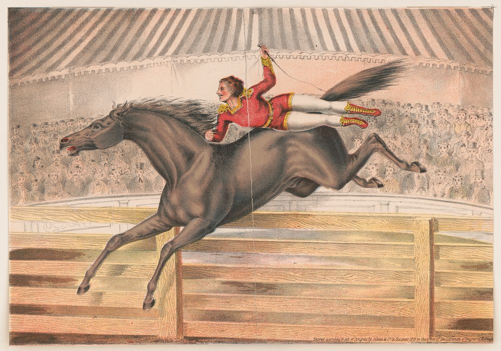 [Circus performer riding a vaulting horse bareback], c1873.