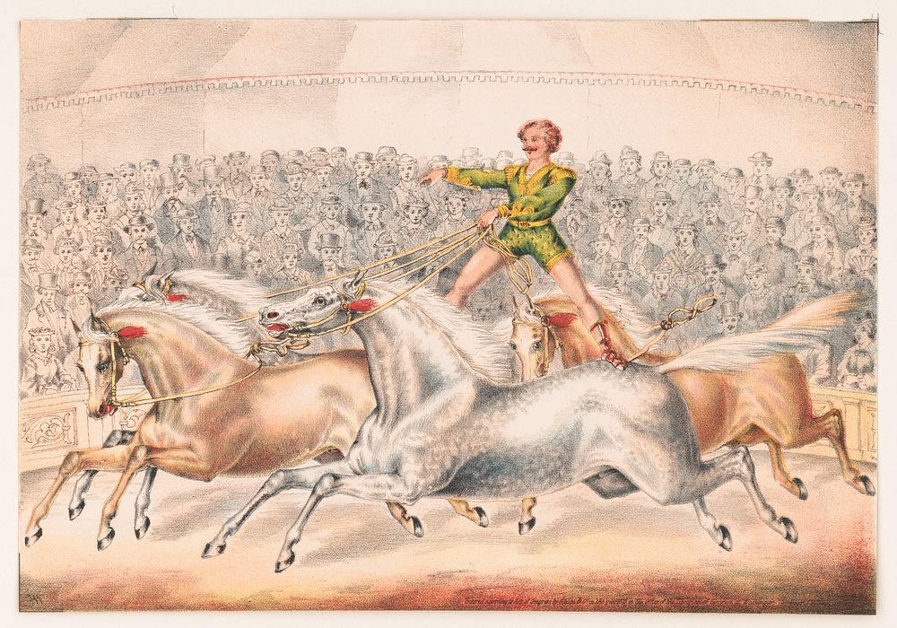 [Circus performer riding two horses at once], c1873.