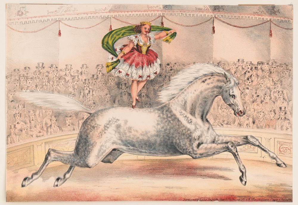 [Circus performer standing on the back of a horse], c1873.