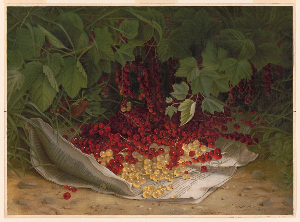 Currants