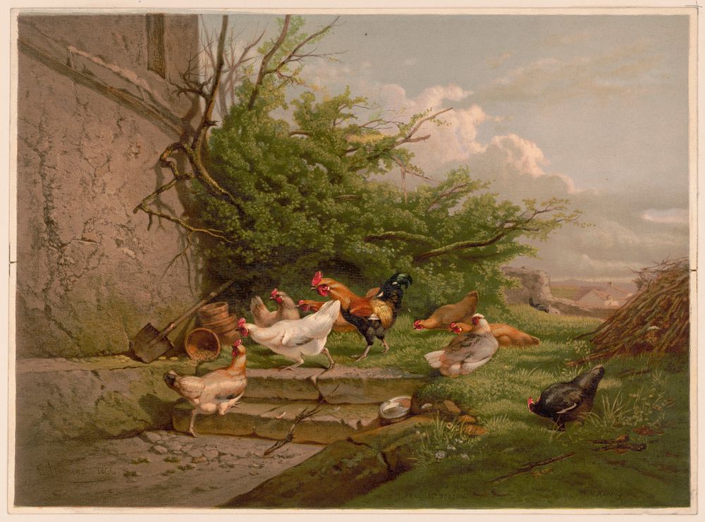 Poultry-yard. I., c1867.