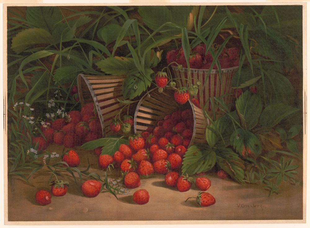 Strawberries and basket