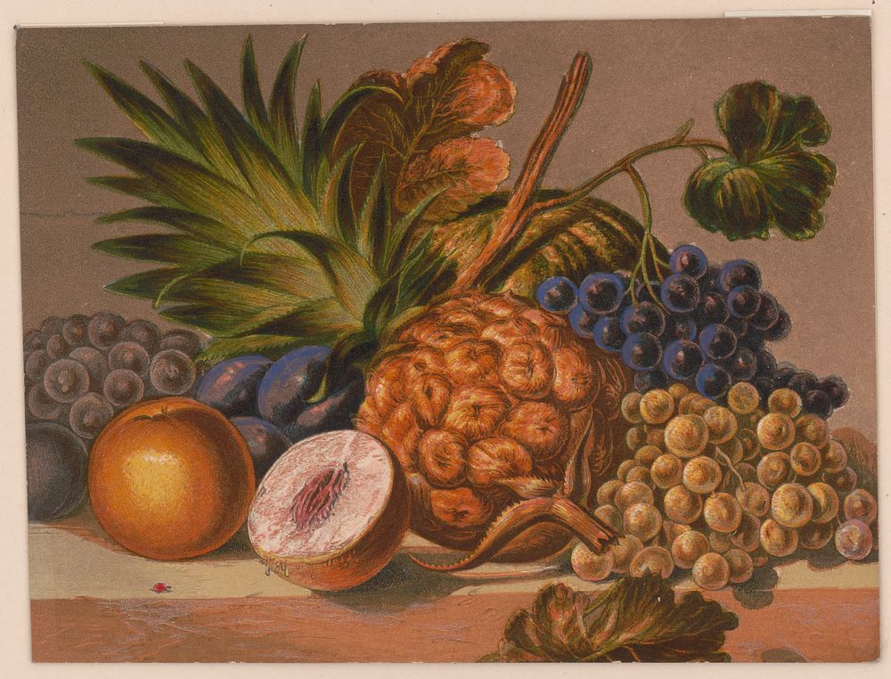 [Still life with various fruits]
