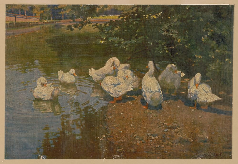 [Ducks by a pond]