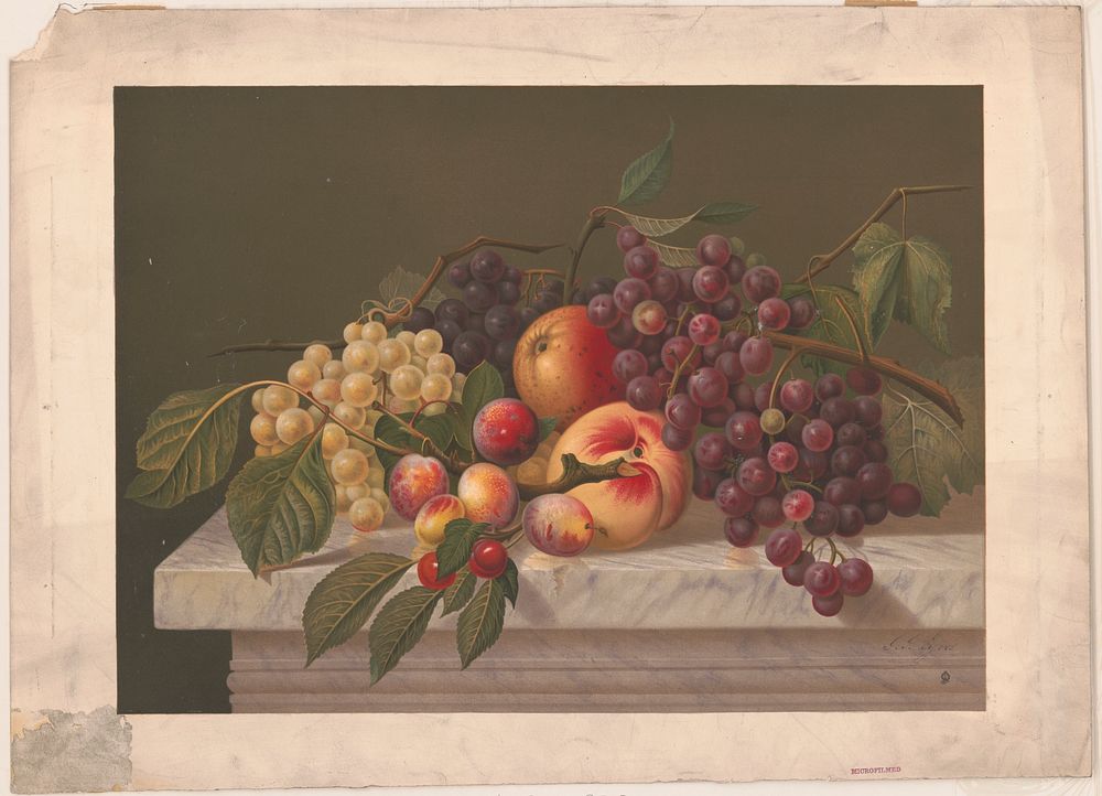American grapes