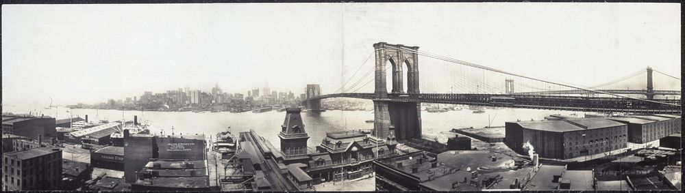 New York & bridges from Brooklyn
