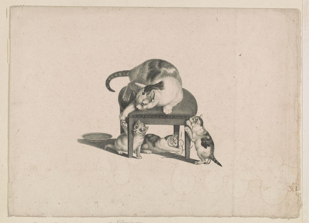 [Domestic cat on a stool playing with three kittens] / C.F. by Gottfried Mind (1768-1814)