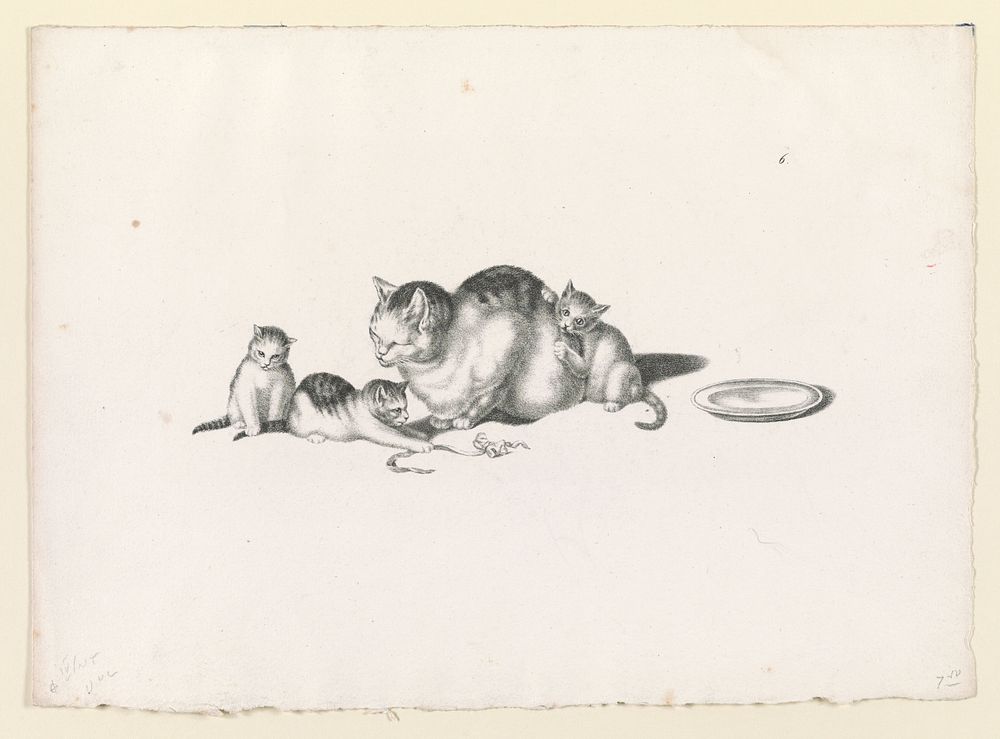 [Domestic cat napping with three playful kittens and a saucer on the right] by Gottfried Mind (1768-1814)