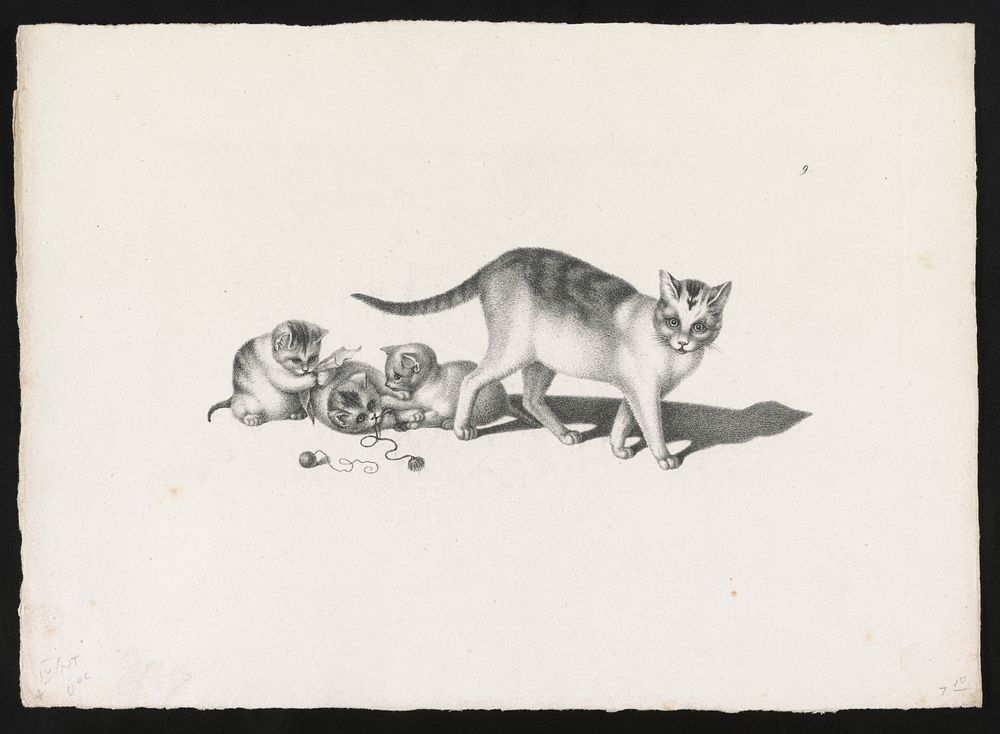 [Domestic cat with three kittens, playing] by Gottfried Mind (1768-1814)