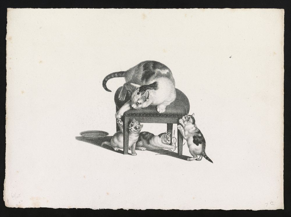[Domestic cat on a stool playing with three kittens] by Gottfried Mind (1768-1814)