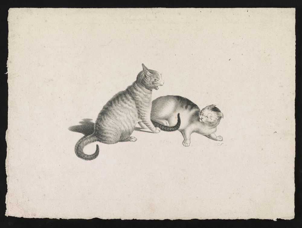 [Two domestic cats fighting] / CF-. by Gottfried Mind (1768-1814)