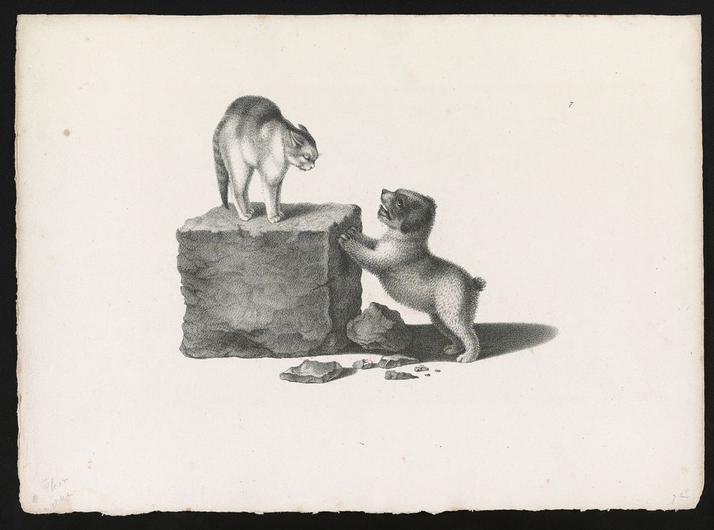 [Domestic cat standing on a block and a puppy with its front paws on the block] by Gottfried Mind (1768-1814)