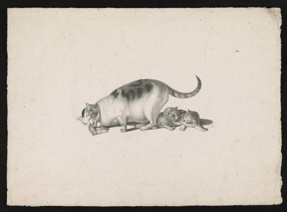 [Domestic cat eating while two kittens play] / CF-. by Gottfried Mind (1768-1814)