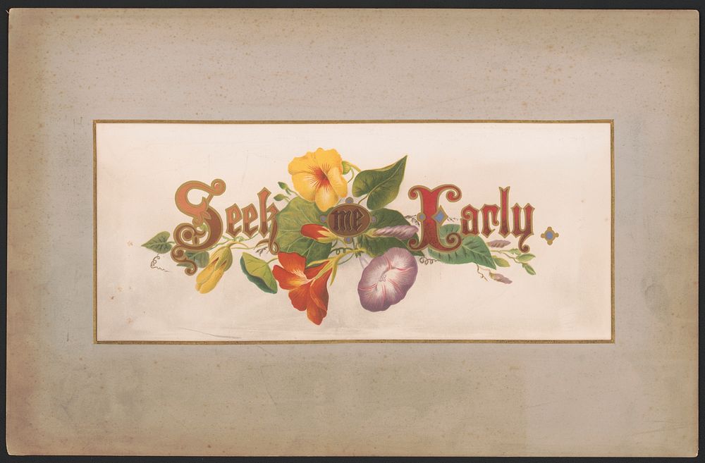 Prang's floral mottoes, no. 9. Seek me early, L. Prang & Co., publisher
