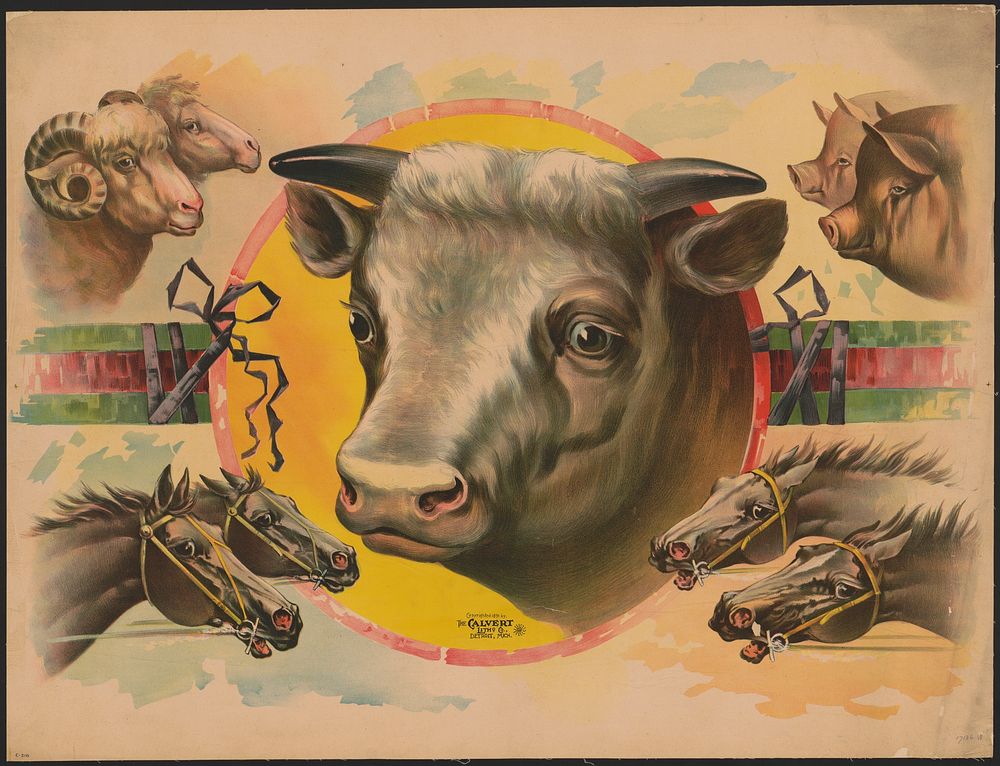[Image of cattle-pigs, cows, sheep, and horses]