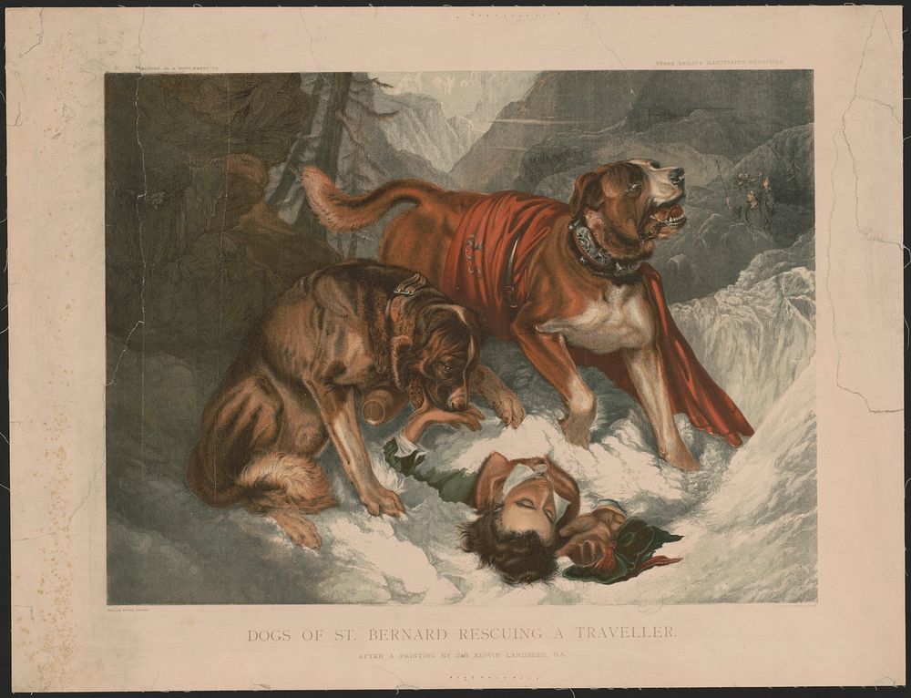 Dogs of St. Bernard rescuing a traveller, after a painting by Sir Edwin Landseer, R.A., published as a supplement to Frank…