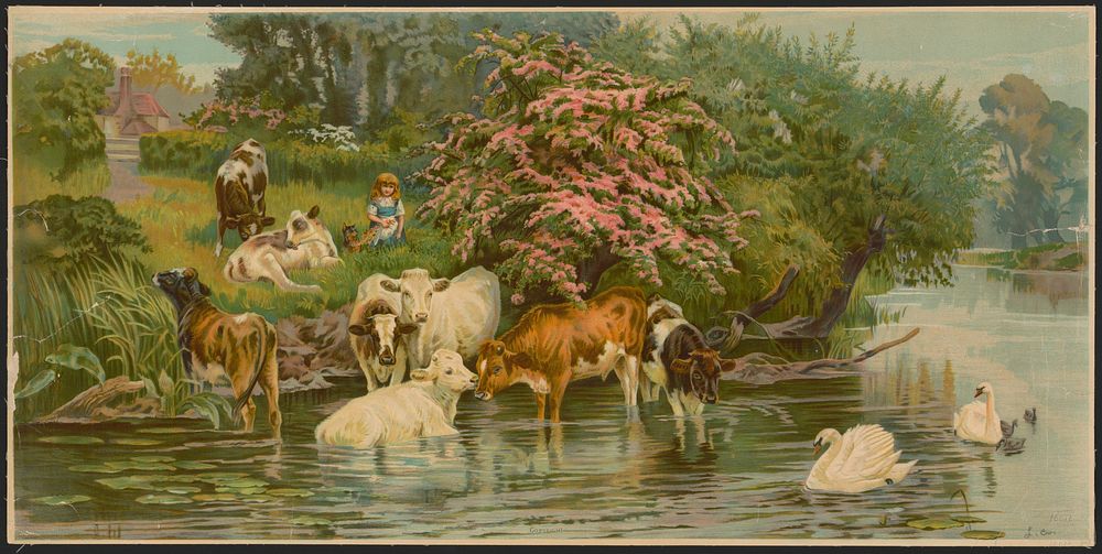 [Outdoor scene with cows and swans in a lake with a little girl on land with a dog and two cows]