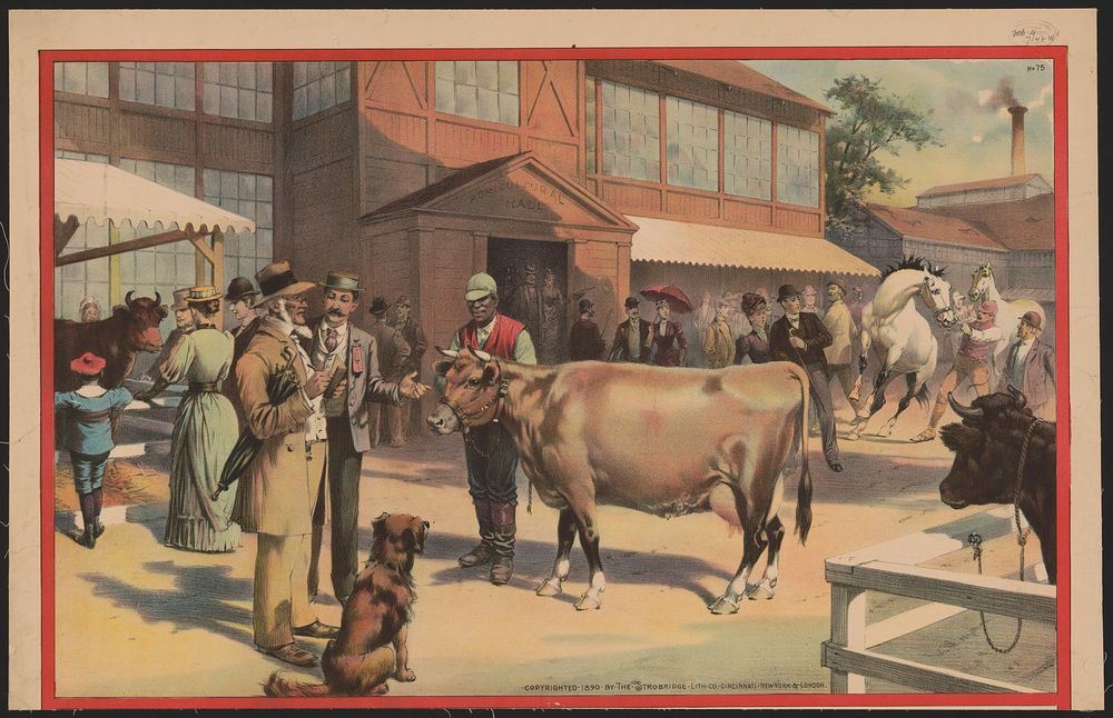 [African American man with cow, people and horses in background]