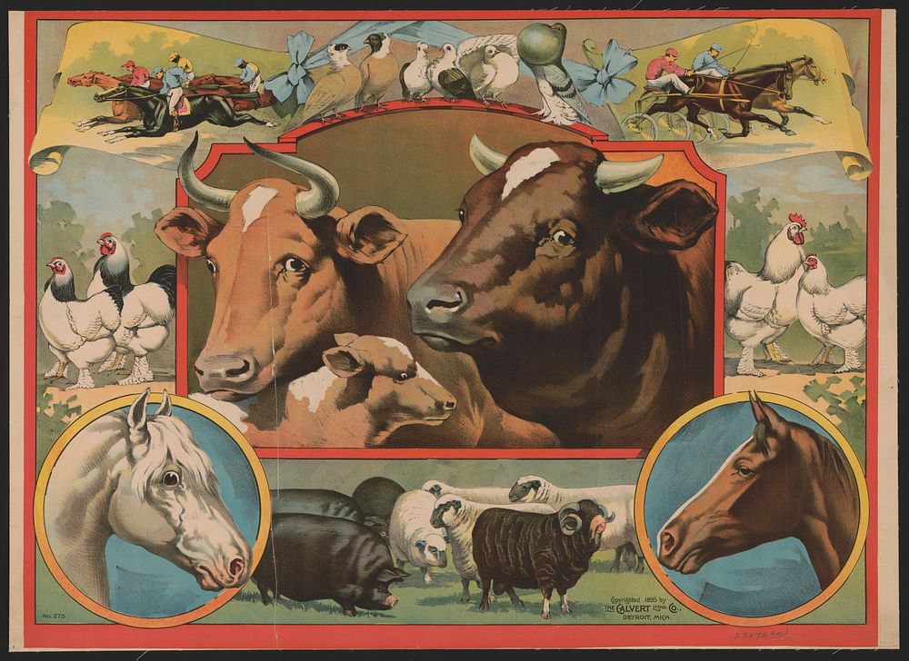 [Cattle surrounded by farm animals and horse racing]
