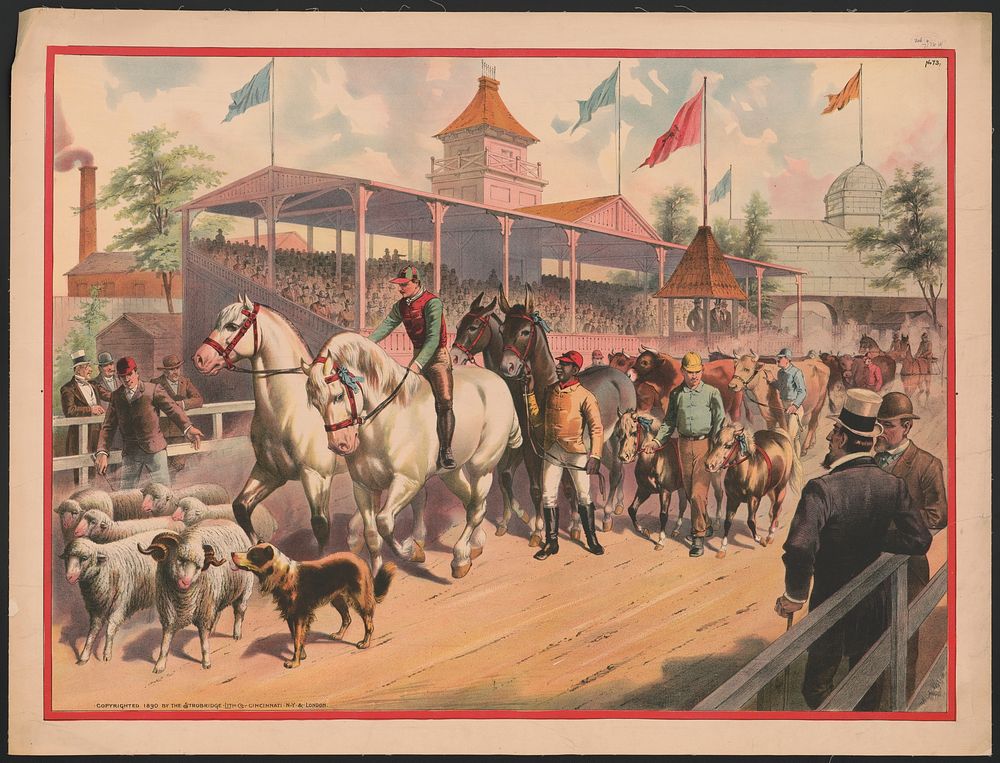 [Procession of horses, sheep, and cows on a race track]