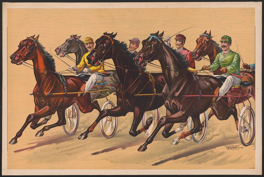 [Harness race depicting five horses]