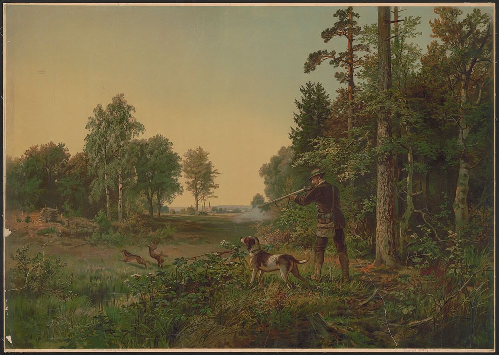 [One hunter shooting rabbits accompanied by his dog]