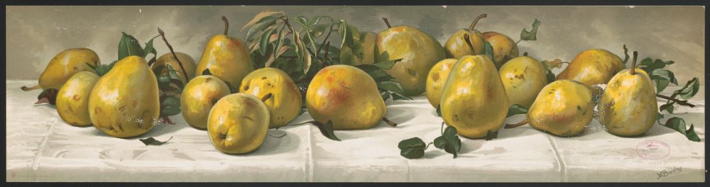 Study of pears