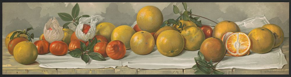 Study of oranges